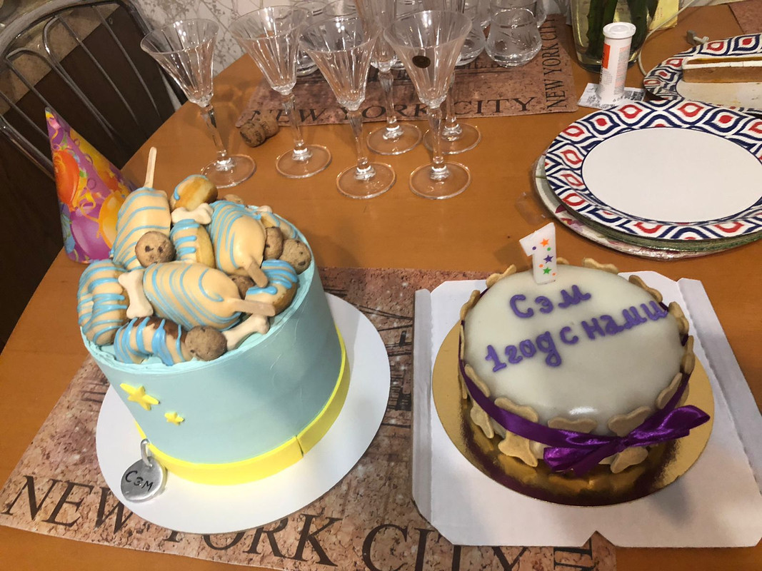 350FE88F-A74A-4AD9-BFF6-4D151A408837