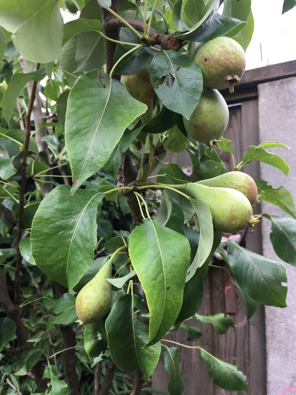 1AF98796-2E07-4A4D-9014-2F0C7EA40EBC