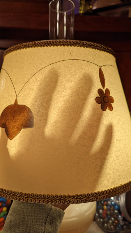 PXL_20221203_051245536 (1)