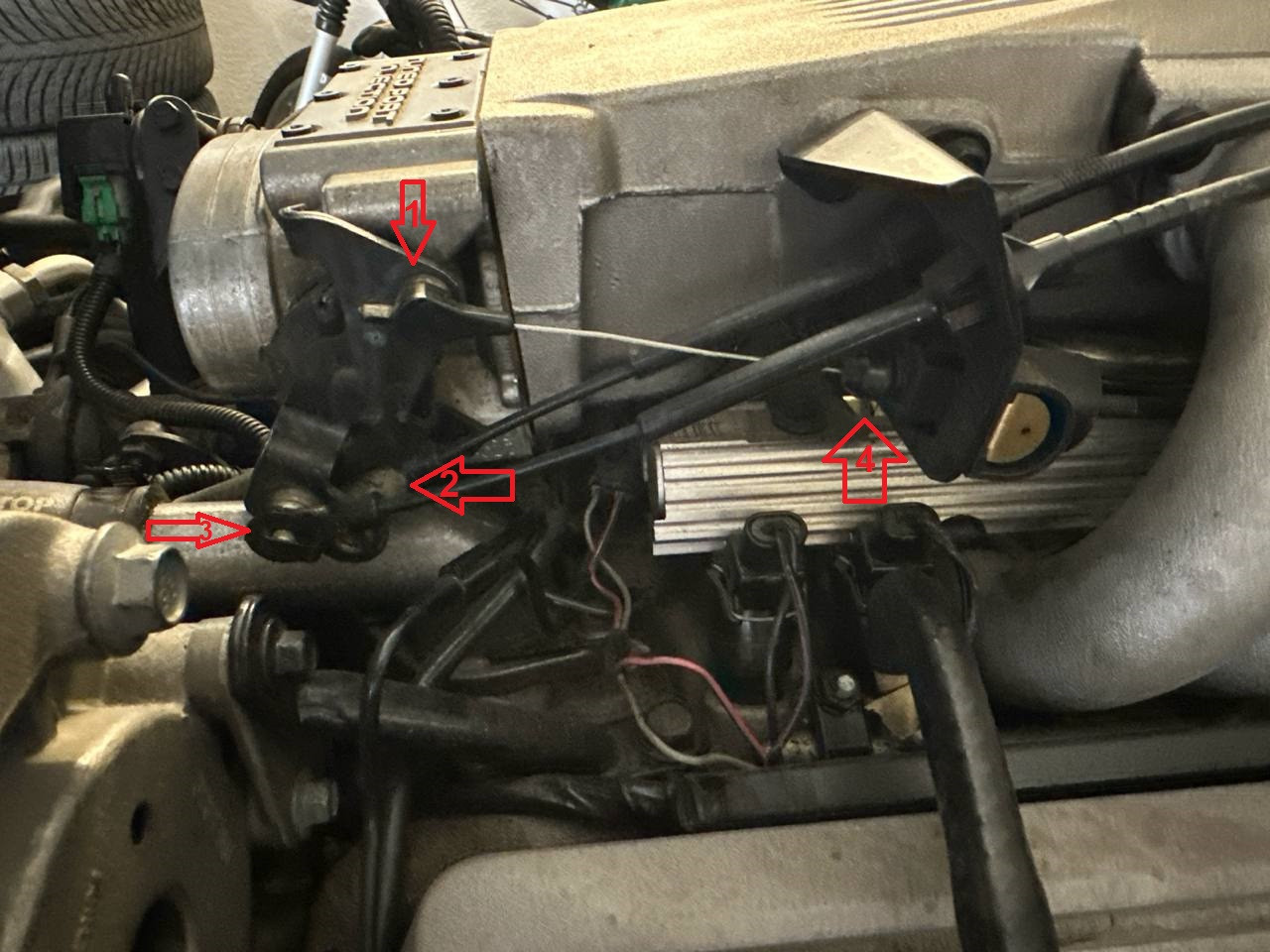 photo 2026 04 08 16 37 19