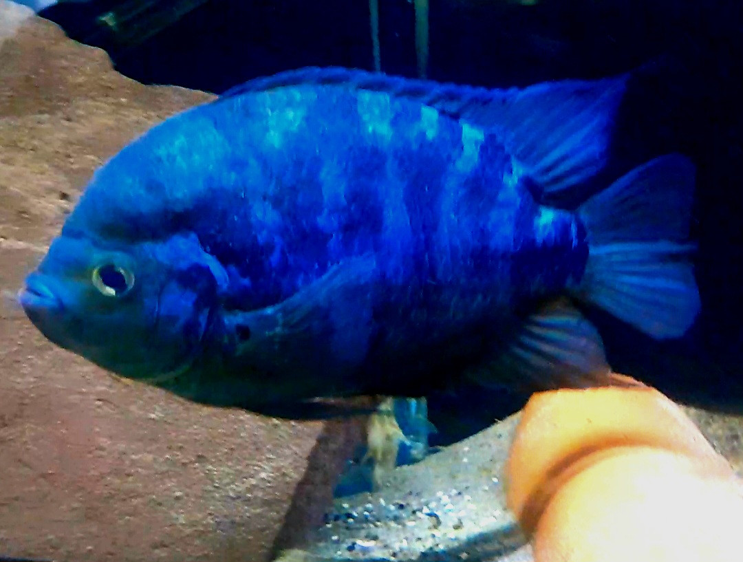 Screenshot 20260328 133623 Video Player