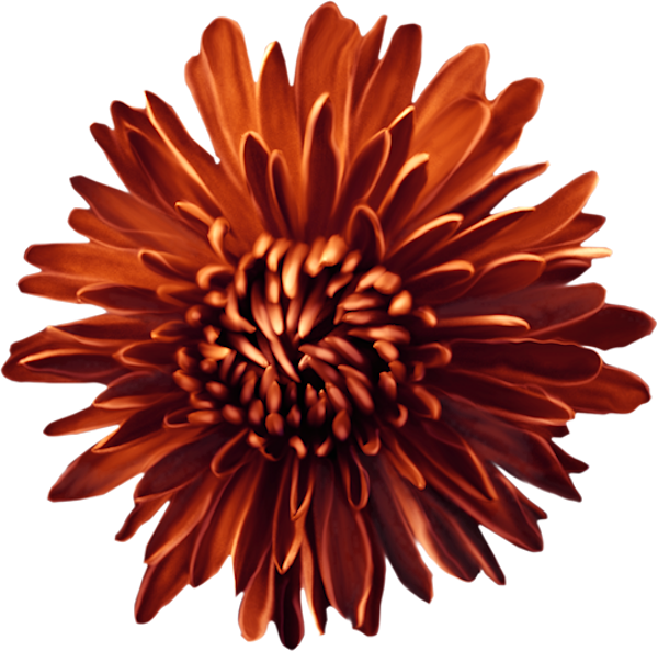 143790112_LMB_Fall_Bounty_Element_95