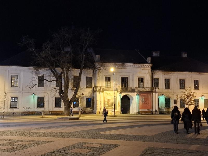 Slika