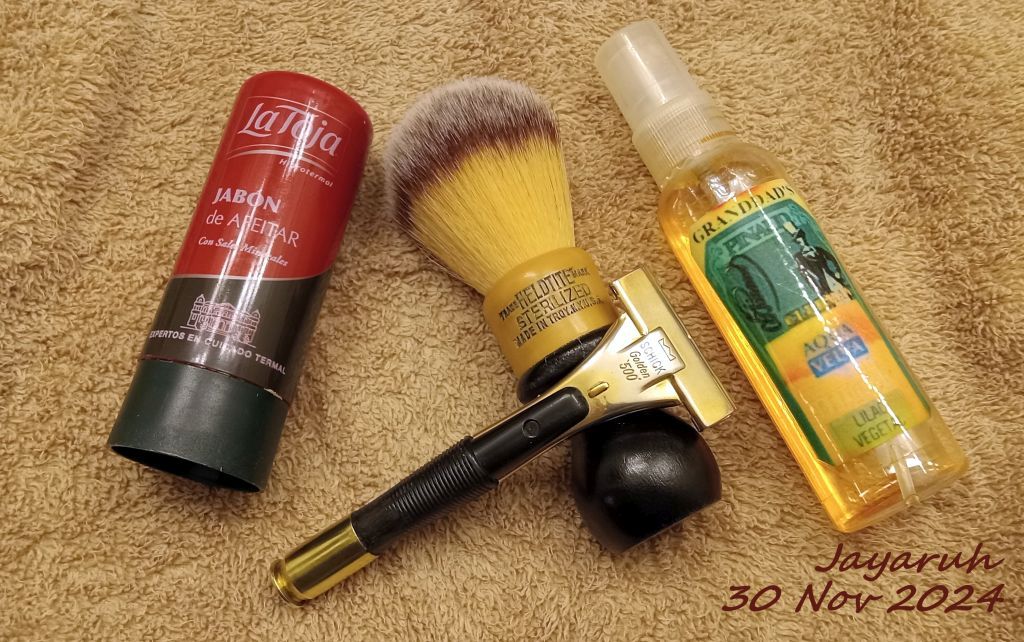 [Image: sos20241130.jpg]