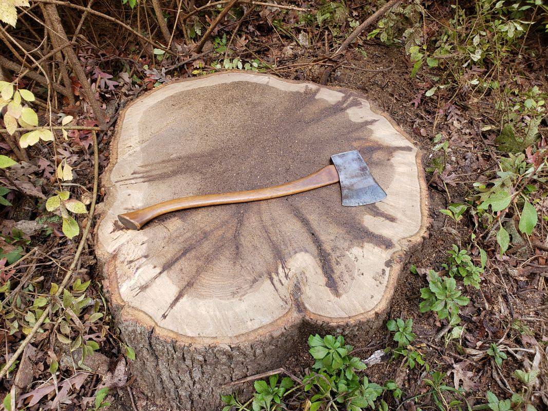 20201006_114535.jpg