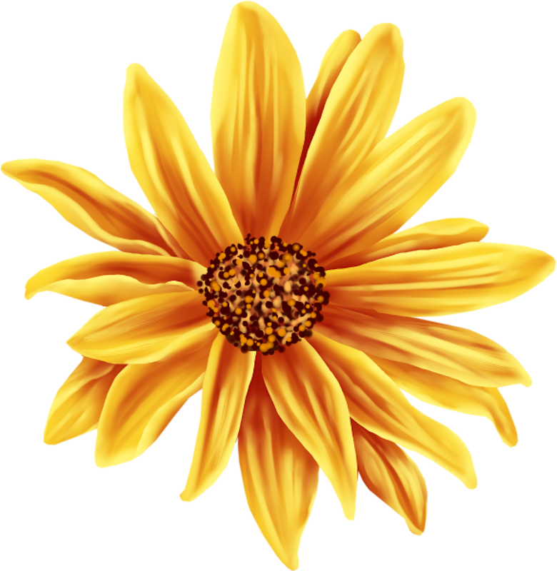 IPD_AH_Element (103)