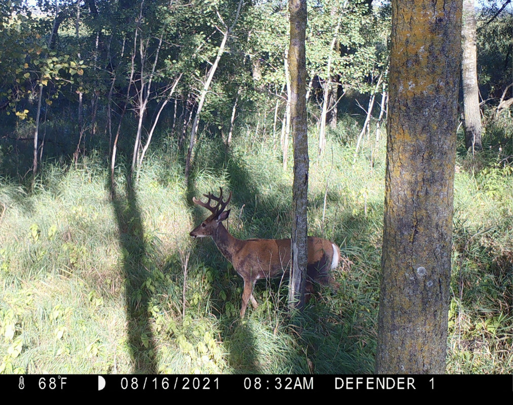 056F5972-7E86-4DBC-8FAC-F3C04E1A37E3