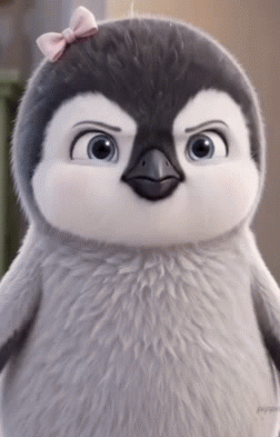 IMG-9073.gif
