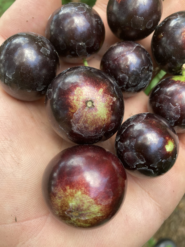 1949563E-4D9B-4329-8888-6E44B5412DF7