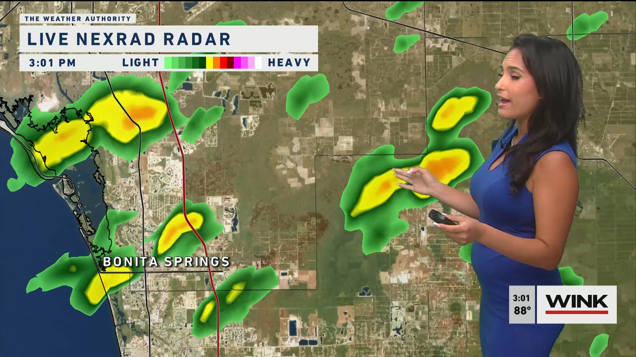 05.24 - 20.00.00 - WINK News at 3 00 p.m..ts_snapshot_06.09.228