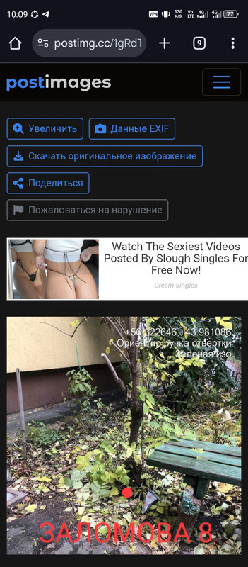 1764918843290