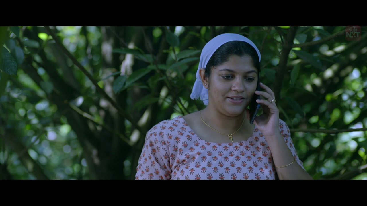 vlcsnap 2026 02 11 15h44m43s888