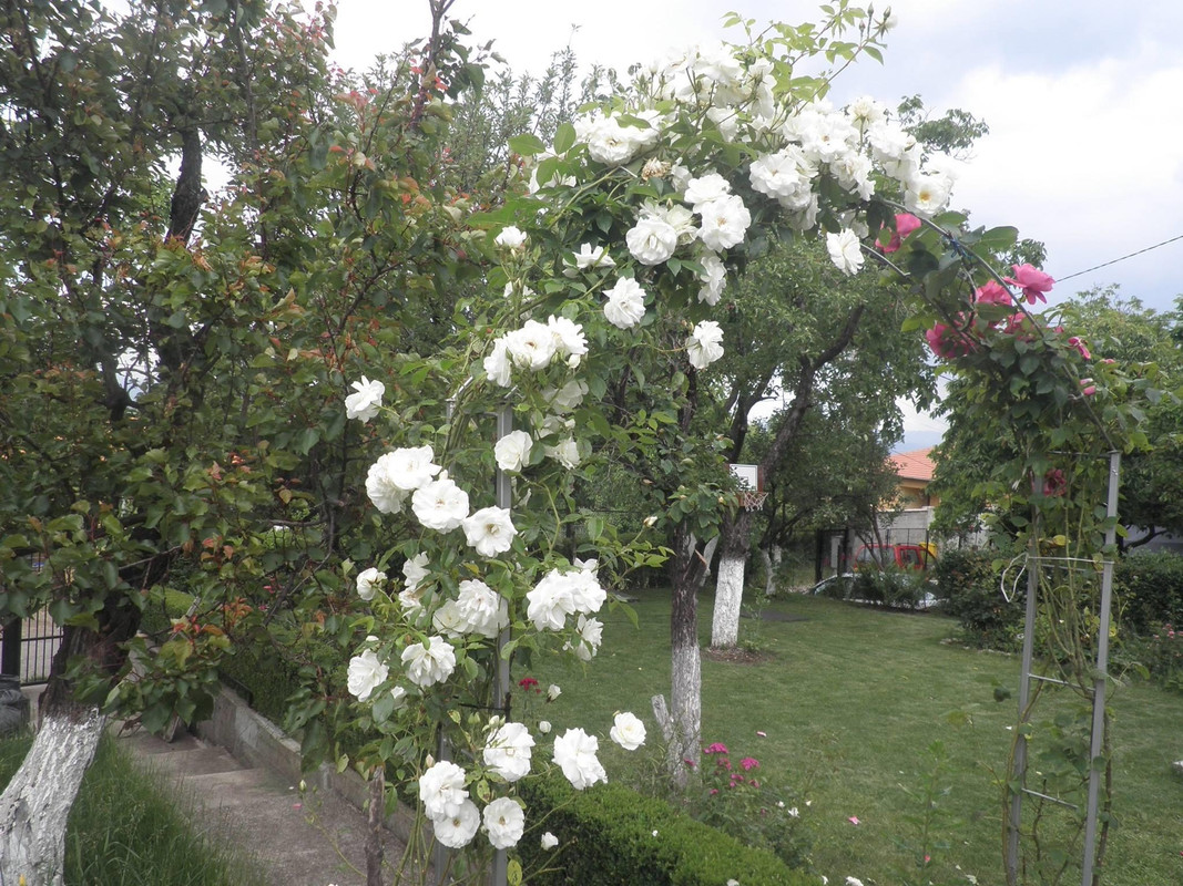 271766DB-A77A-4EDF-8617-2ABDF952041E