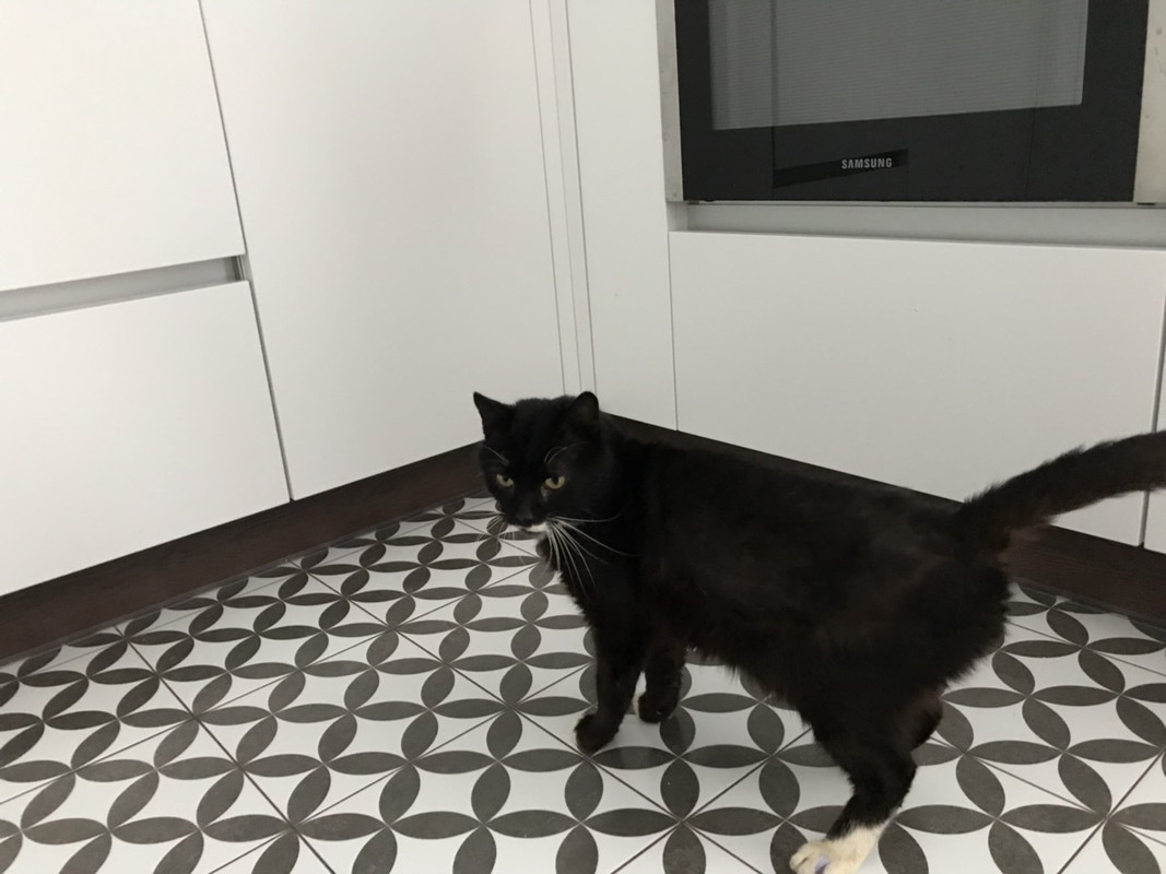 Василий-Матеуш