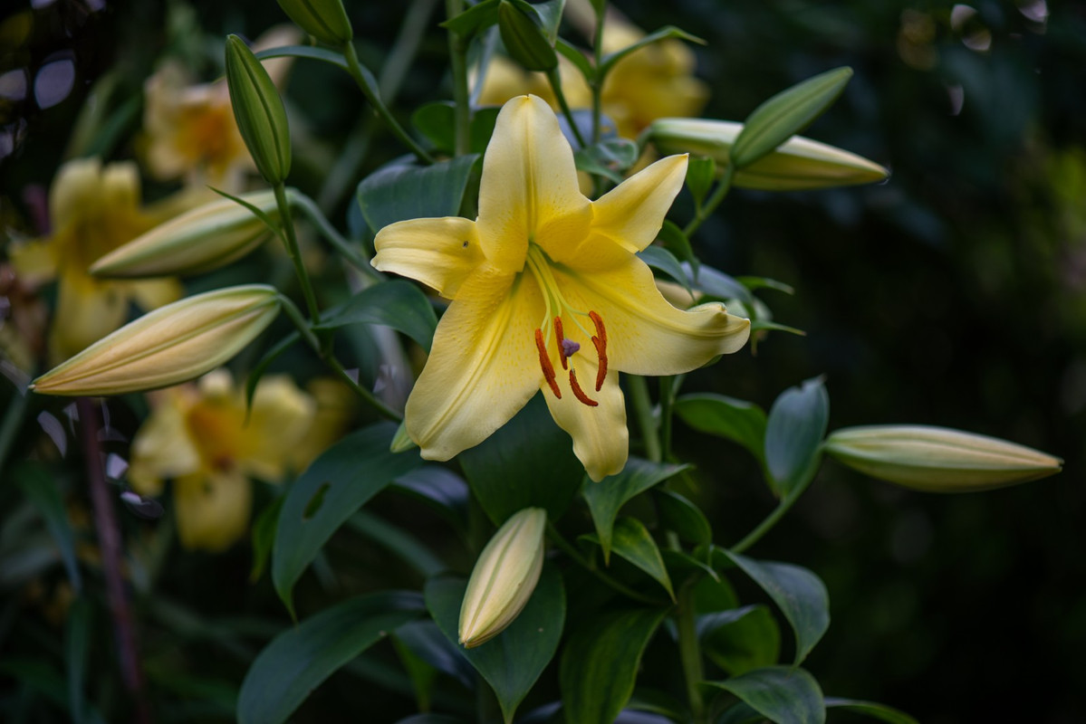 IMG-411fef299859d19d4a9d68d946558b7f-V