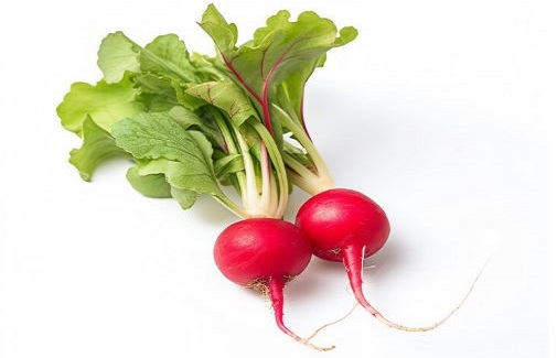 can bunnies eat turnip greens