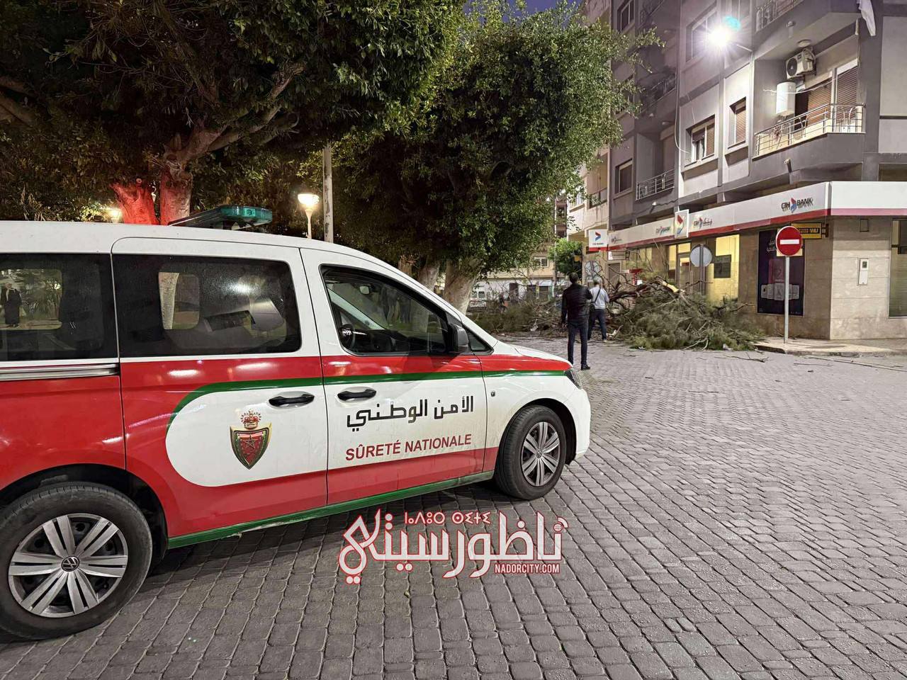 575917492-1108355058037187-1099814159655516388-n