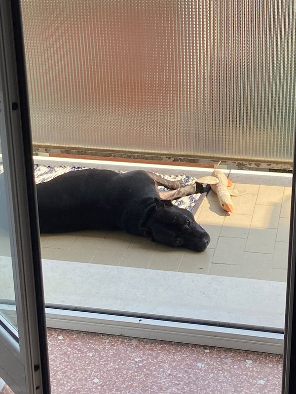 WhatsApp Image 2024-11-24 at 15.10.40 (1)