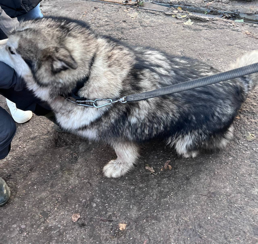 A71F43CD-40A9-4AC4-867D-CECCAD171F5C