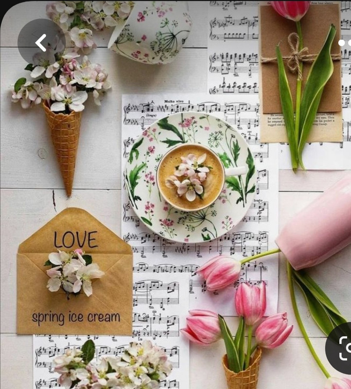 Screenshot_20230328_003730_Pinterest