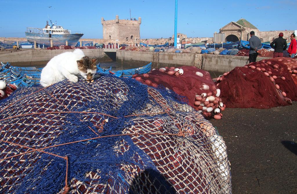 Такая близкая Африка. (ЮАР. 22 дня и 4200 км. Ноябрь-Декабрь)