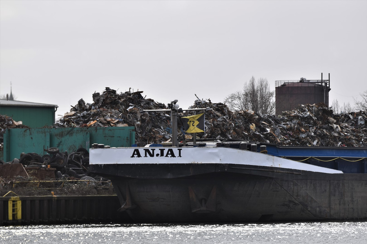 2021.03.21b1 Anja I (1)