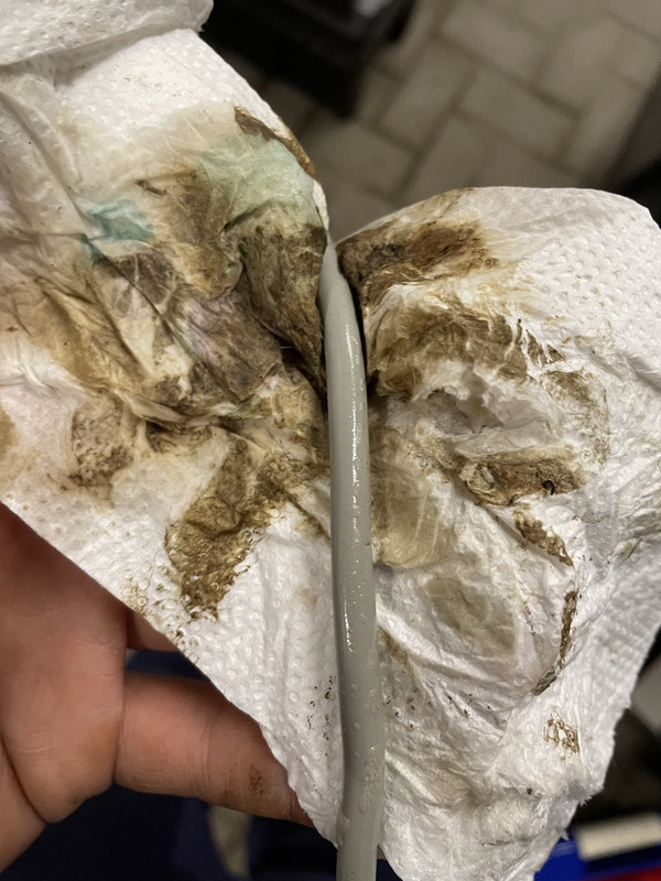 91A4A19B-2313-4691-B56D-F458CD3575E0