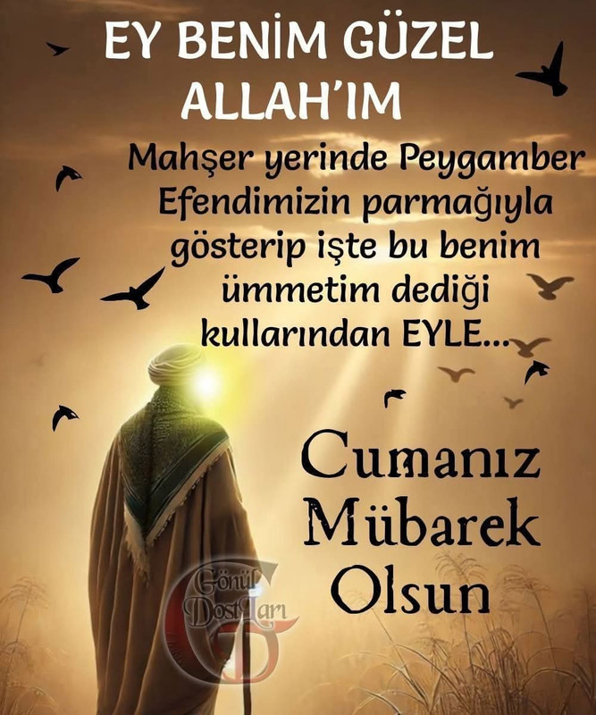 FB_IMG_1757620437221