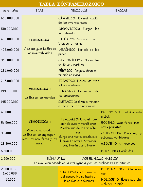 el periodo Fanerozoico