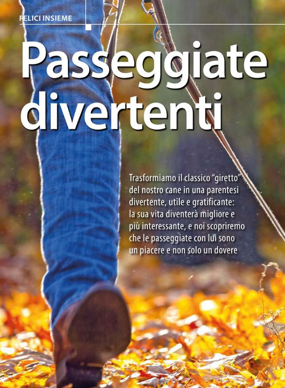 Il M C Mar-Apr 2024 (5)