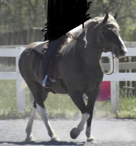 99BA2C5D-2908-4AFA-A6C3-7B4FB2993E29