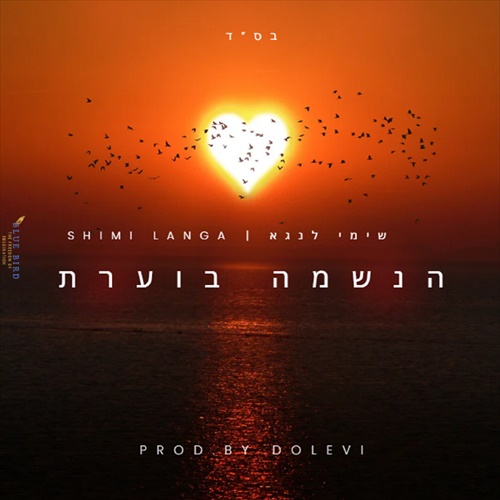 תמונה