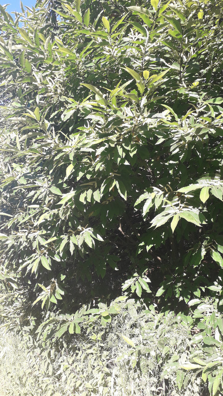 [Image: 20190629-085132.jpg]