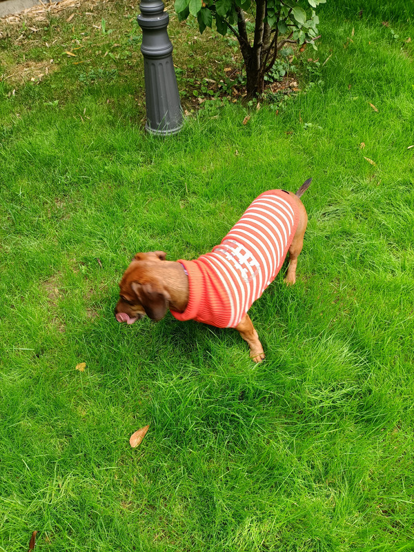 [Image: IMG20211002120407-4.jpg]