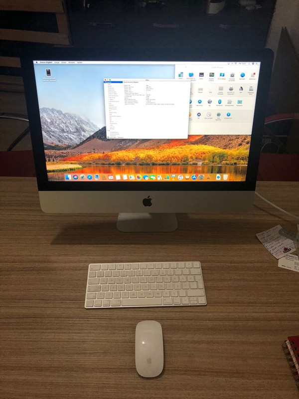 WhatsApp Image 2018-05-24 at 15.58.10 (1)