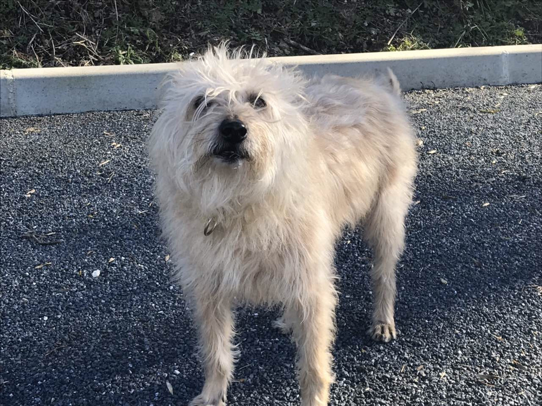 F5EA1E19-9E00-4415-B6DF-4C9D678368BA