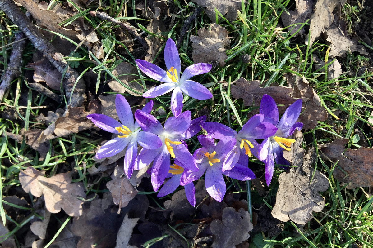 63A9309F-BA38-45F4-98F3-C7E2CD1CE181