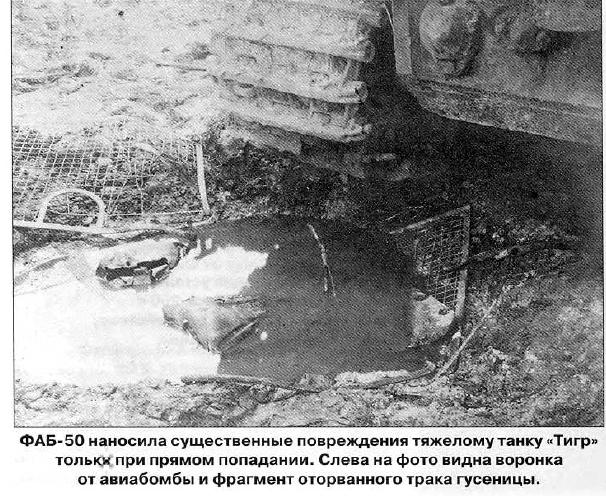 нем тигр 211214_4