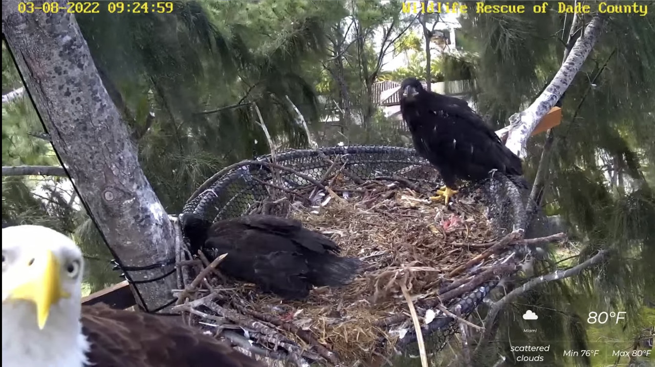 DBDA3992-CBF4-4790-B965-8DF498DF2CAE