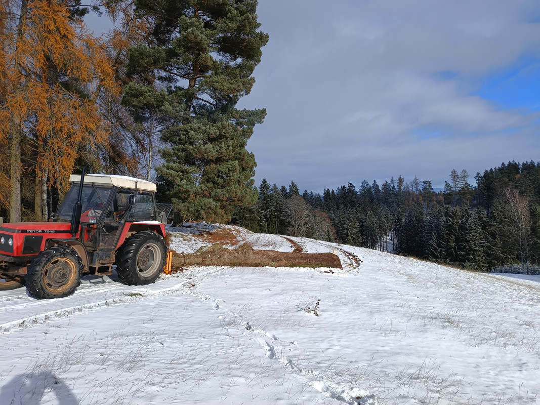 IMG_20241123_111231999