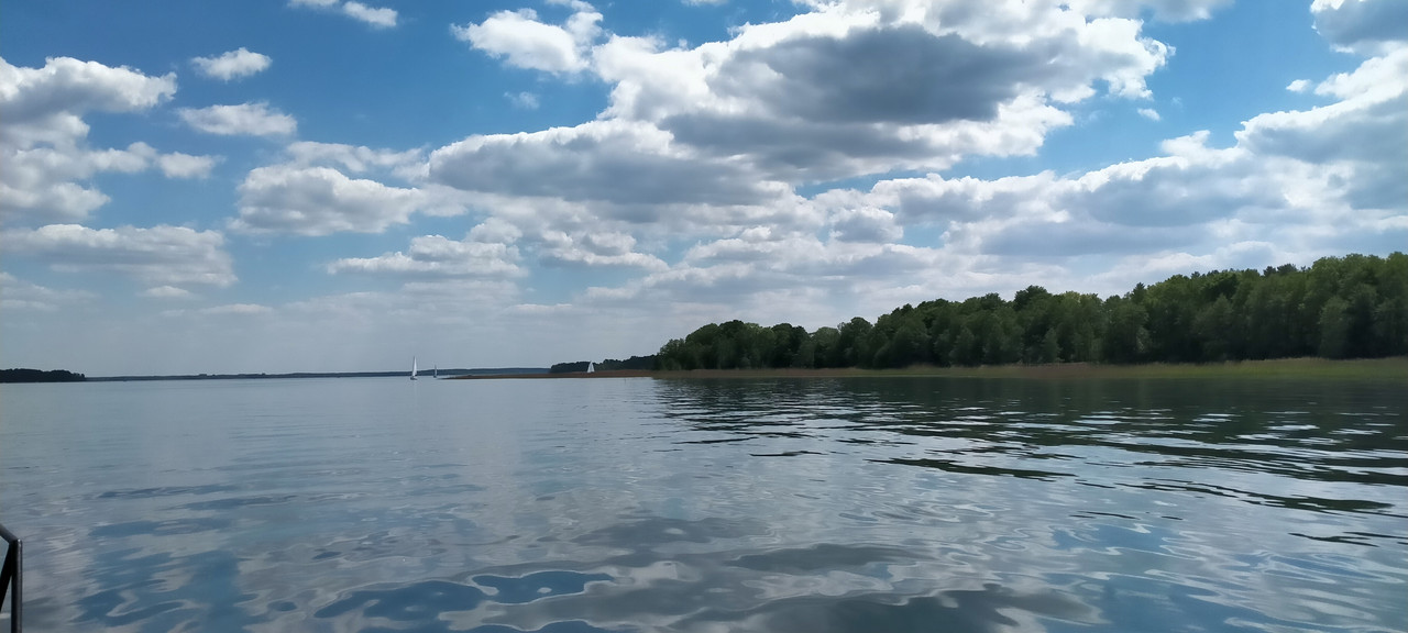 08.05 - IMG20210603114323 (VdL)