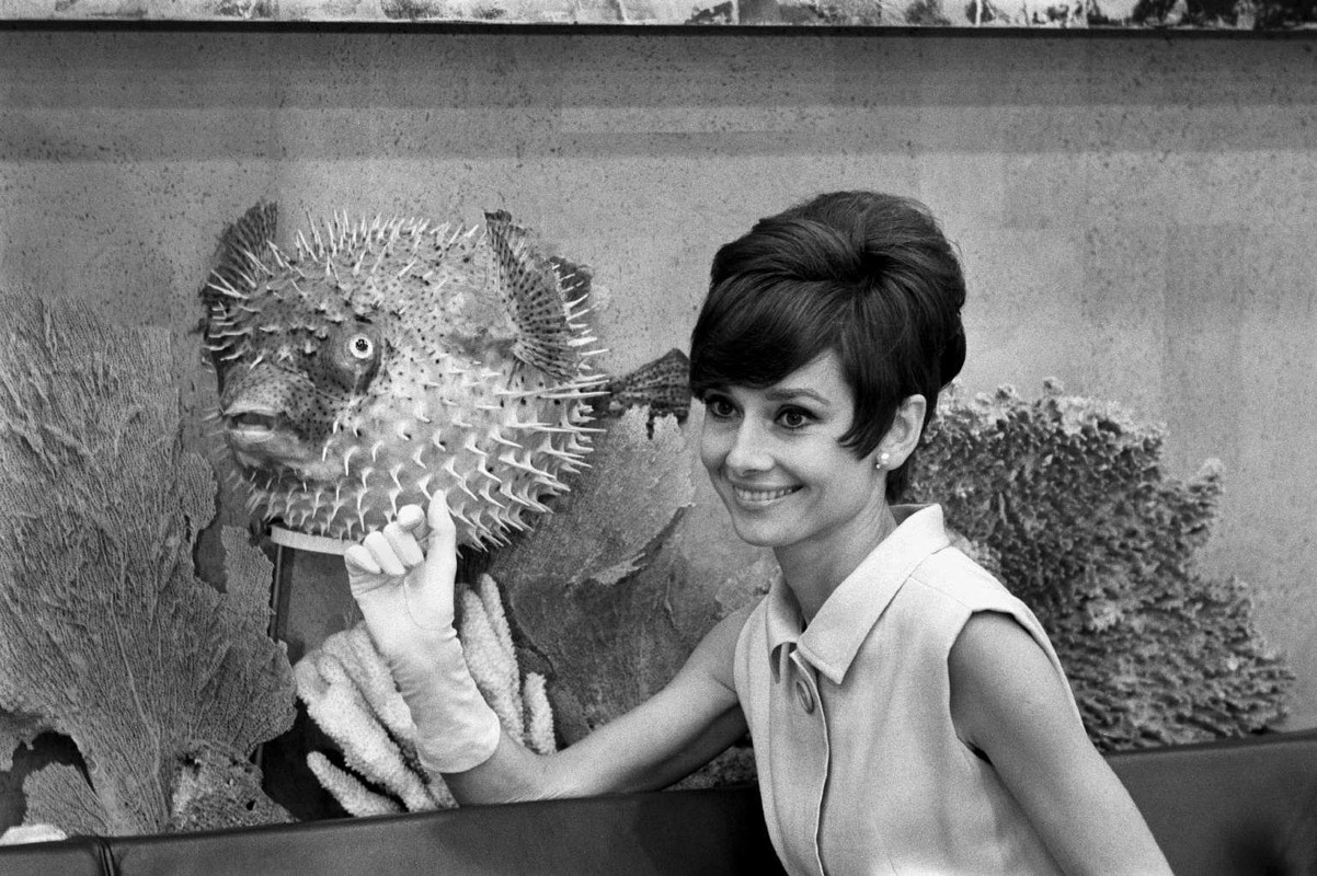 AudreyHepburn_mf42