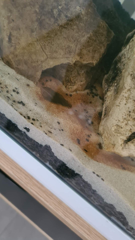 FB_IMG_1661286780243