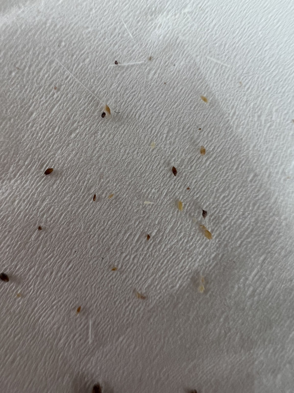 FB02D041-3315-4300-9908-DE8D67195E78