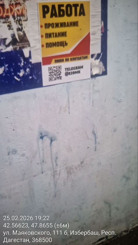 photo 1 2026 02 25 23 52 28