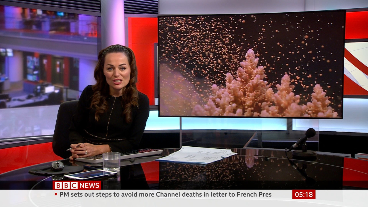 BBC News Fritz_20211126_05000600.ts_snapshot_00.19.46.605