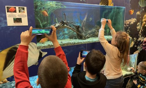 Діти біля акваріуму