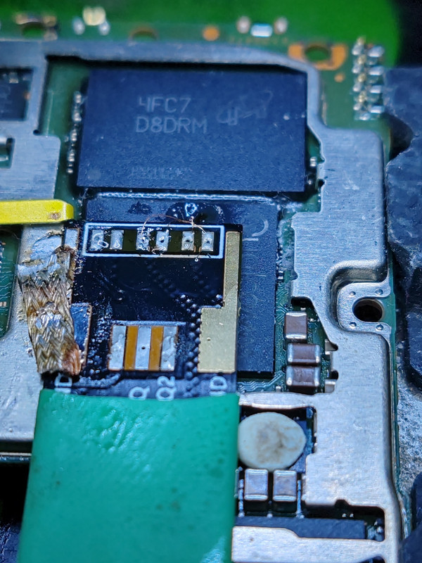 photo 2026 02 05 13 00 40