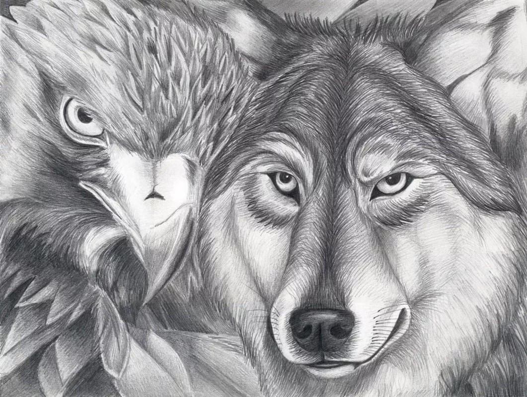 D0A96FBE-3ED6-4085-8B30-86D6A2101488