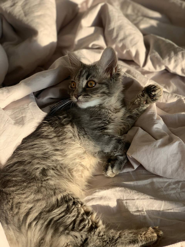 1C70C6E1-F316-48F5-B8FD-6BD23E3B4593